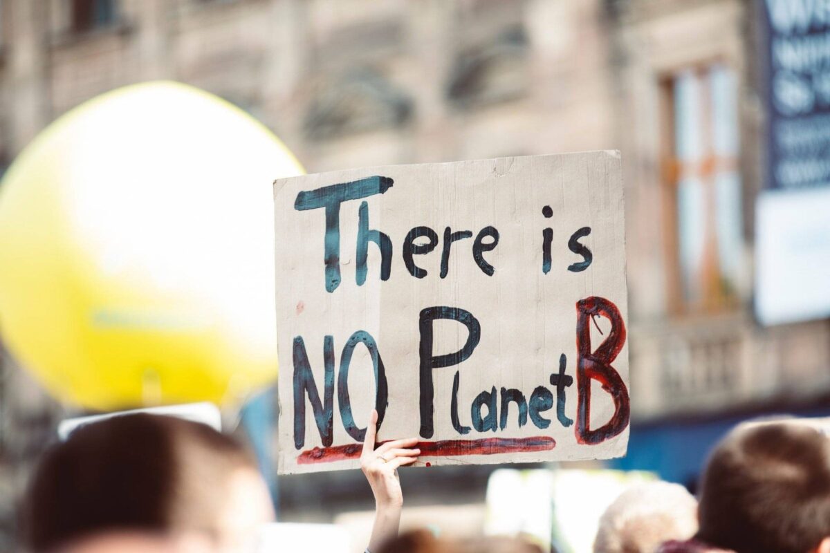 Schild auf einer Demo: "There is no Planet B"