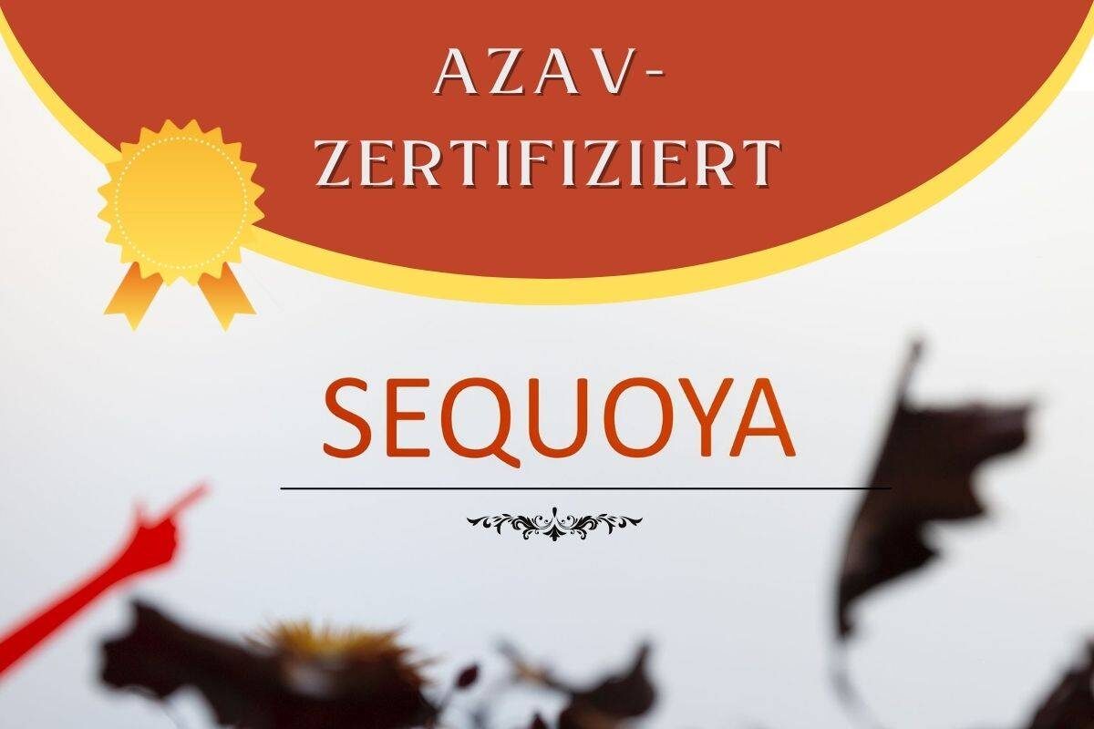 AZAV Zertifizierung als Bildungsträger für AVGS Coachings