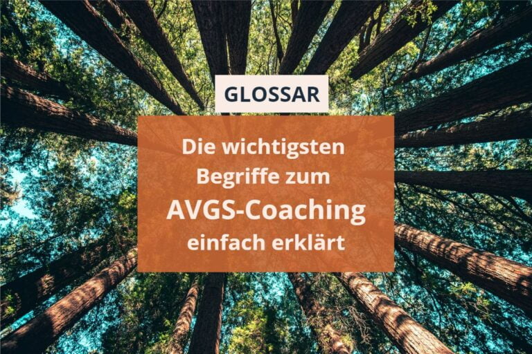 Bild von Sequoia-Bäumen mit der Aufschrift: Glossar - die wichtigsten Begriffe zum AVGS-Coaching einfach erklärt