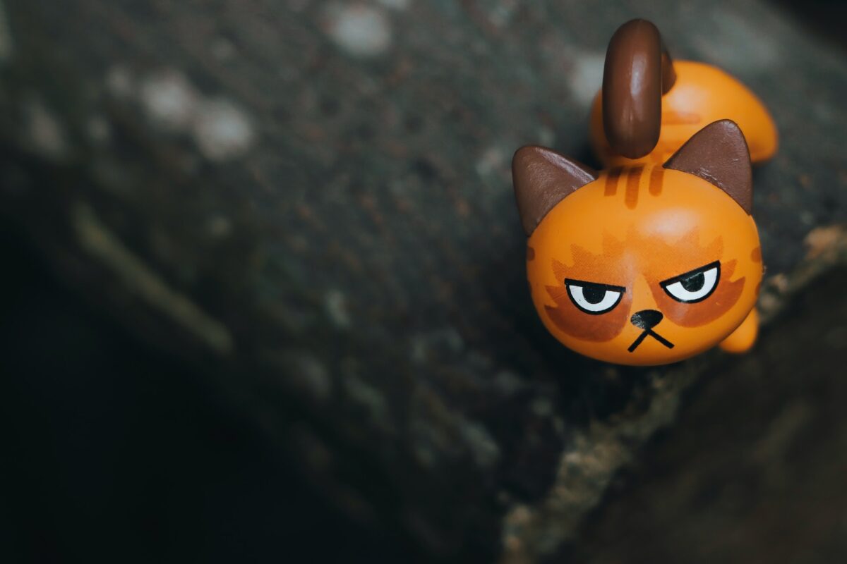 Grumpy Cat: eine Katze ärgert sich
