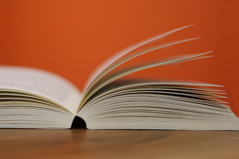 Outplacement-Glossar: Das sind die wichtigsten Fachbegriffe 1 Blog Outplacement Glossar credit Pixabay